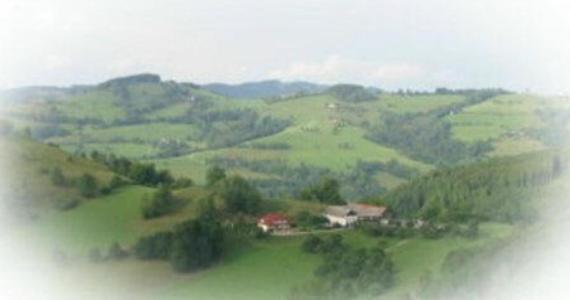 Gasthof Koglerhof Ternberg Екстер'єр фото
